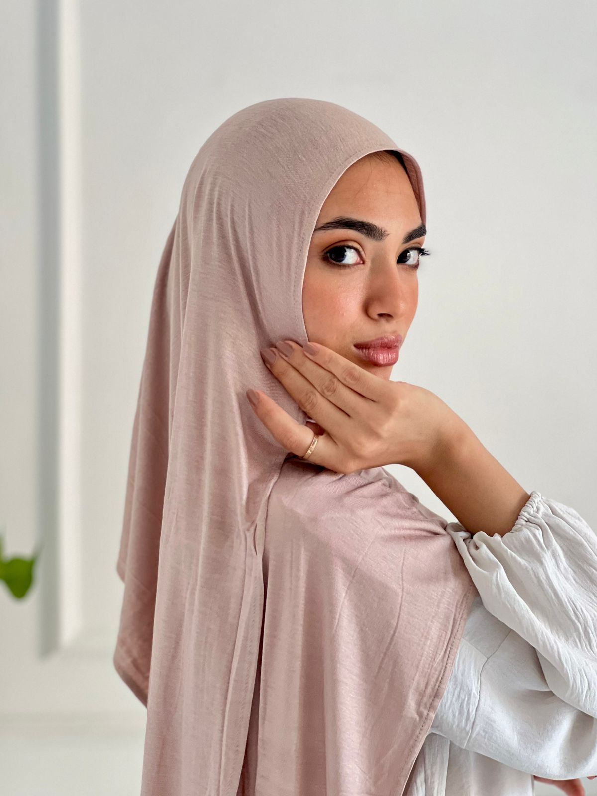 Must Have  - Dusty Rose